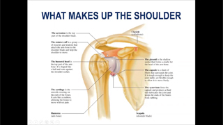 Strong and Healthy Shoulders
